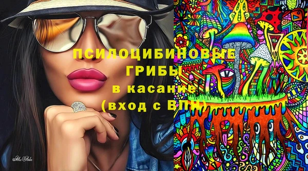 меф Алексин