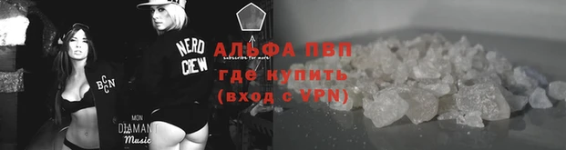 a pvp Дмитровск