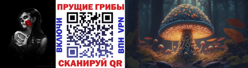 наркошоп Миньяр MEGA рабочий сайт Псилоцибиновые грибы Psilocybe